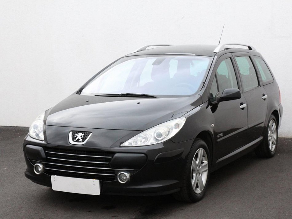 Peugeot 307 1.6 i 