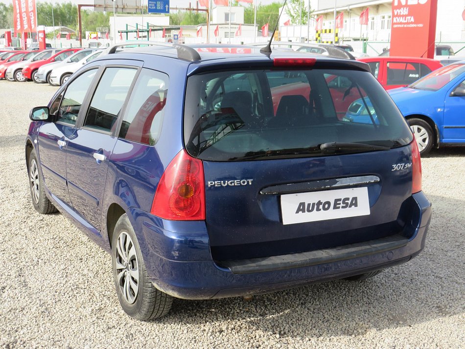 Peugeot 307 1.6 i 